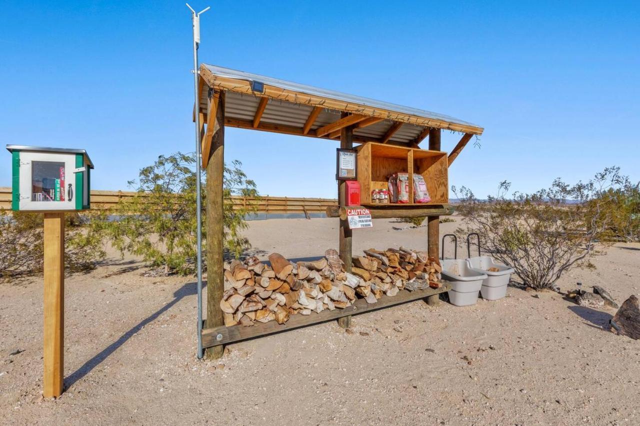 Jt Village - Lil Miss Daisy Joshua Tree